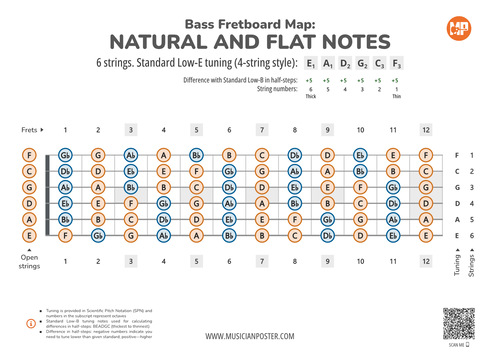 6-String Bass Neck Map Of All Notes In Standard Low-E Tuning
