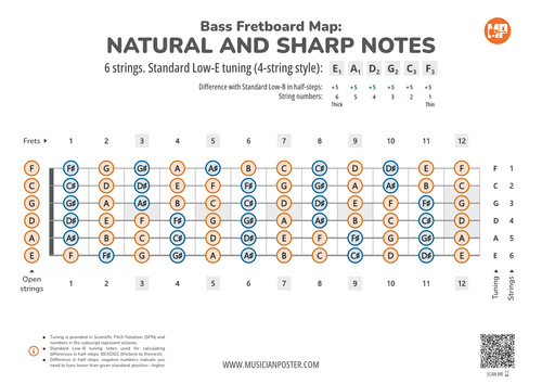 6-String Bass Neck Map Of All Notes In Standard Low-E Tuning