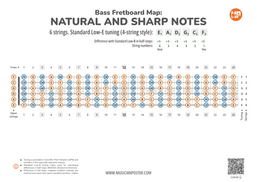 6-String Bass Neck Map Of All Notes In Standard Low-E Tuning