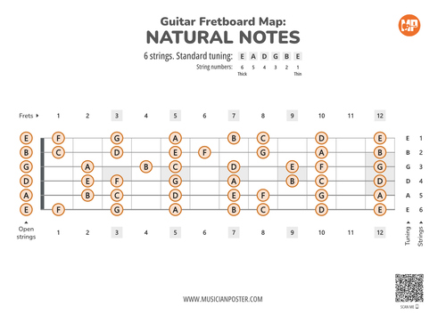 Guitar Fretboard Note Maps & Intervals (PDF eBook)