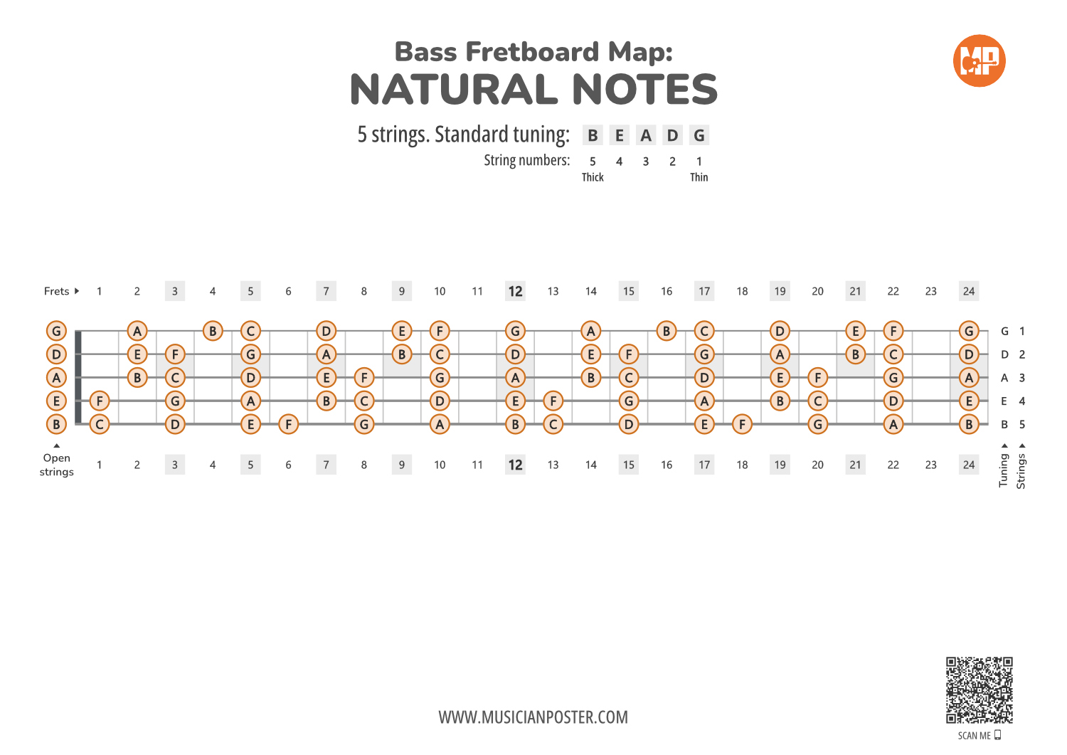 Notes In Bass Bass Guitar Fretboard Mastery (PDF E-Book With Charts)