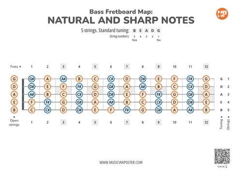 Bass Guitar Fretboard Note Maps & Intervals (PDF eBook)