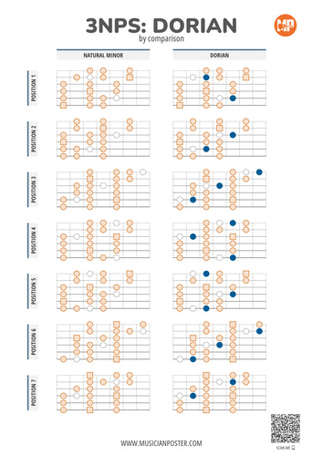 3NPS Shredder: Guitar Scales (PDF eBook With Charts)