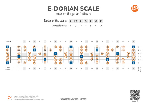 E-Dorian Scale Notes on the Guitar Fretboard PDF Diagram