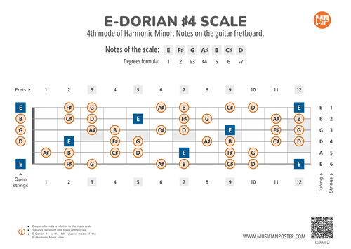 E-Dorian #4 Scale Notes on the Guitar Fretboard