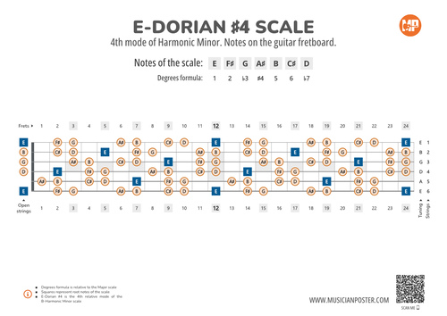 E-Dorian #4 Scale Notes on the Guitar Fretboard PDF Diagram