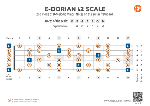 E-Dorian b2 Scale Notes on the Guitar Fretboard