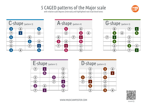 5 in 1 - Complete Guitarist Pack (PDF eBooks With Charts)